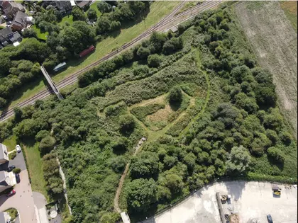 Biodiversity Area 