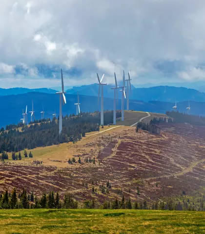 Sustainability